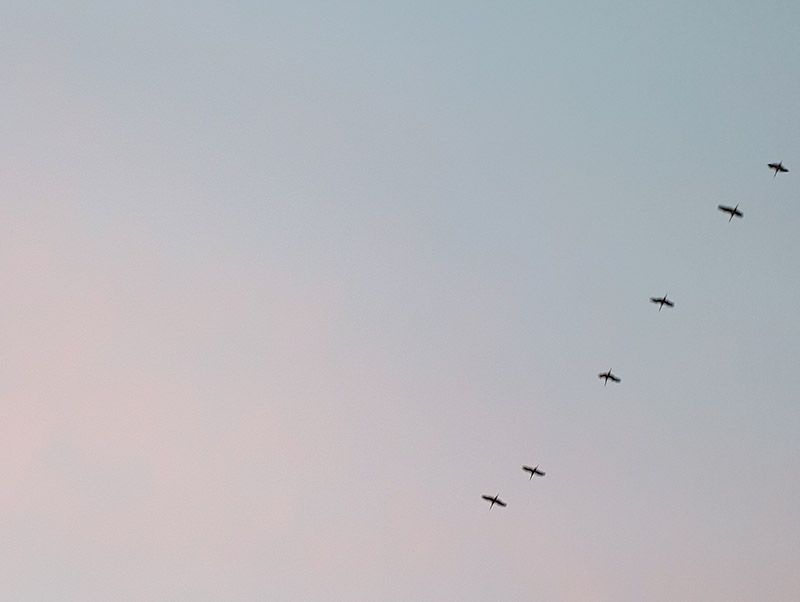Natural Gradients | © Patrick Weseloh | weseloh.media